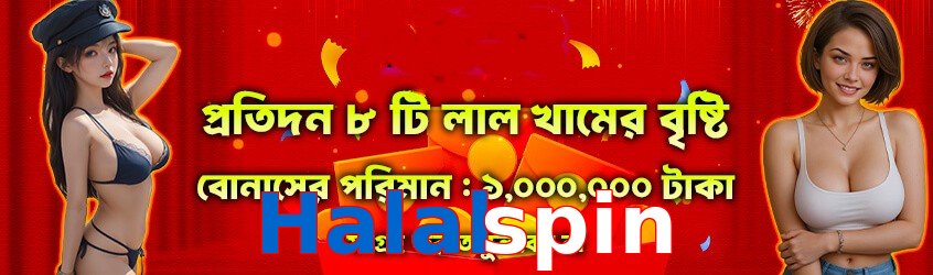 Halalspin interface sample